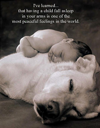 SE QUE JE PREFERE AU MONDE LES ENFANTS ET LES CHIENS